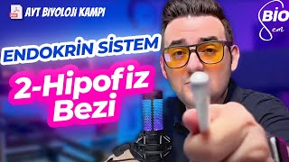 Endokrin Sistem2 Hipofiz Bezi  Ayt Biyoloji Konu Anlatımı 11 Sınıf  2024 [upl. by Hennie]