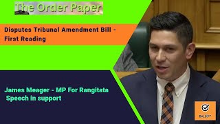 James Meager on the Disputes Tribunal Amendment Bill  First Reading [upl. by Fawnia]