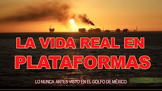 La vida real en Plataformas  Documental [upl. by Carlile]