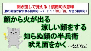 意味を知っておきたい慣用句【体の部位が含まれるもの パート1・「顔」「面」を使う慣用句 15選】 [upl. by Hildagard]