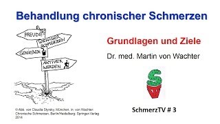 Behandlung chronischer Schmerzen  Grundlagen und Ziele [upl. by Robison]