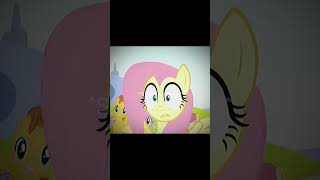 Fluttershy  odetari edit mlp fluttershy  odetari [upl. by Fitts]