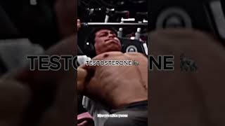 testosterone edit edit motivation gym mma ufc gymlife edits testosterone phonk adrenaline [upl. by Aridan776]