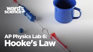 AP Physics Lab 6 Hookes Law  Conservation of Energy [upl. by Ajile225]