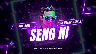 Seng Ni  Heinz Remix 4K Music Visualizer [upl. by Annaegroeg]