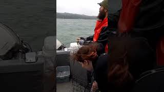 Bait Goes To The Sea Chickens crabbing dungeness bay chicken bait newport oregon saltwater [upl. by Nerok]