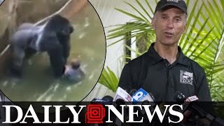 Cincinnati Zoos director defends decision to kill Harambe the gorilla [upl. by Vergil902]