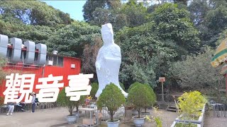 大坑觀音亭丨九號步道丨最輕鬆的路線適合全家爬山喔！ [upl. by Hamo]