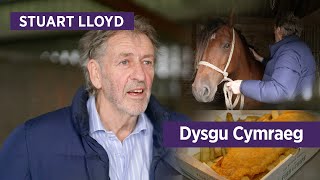 Fish Chips a Cheffylau  Hanes Stuart Lloyd  Y Sioe Frenhinol 2024 S4C Dysgu Cymraeg [upl. by Salazar]