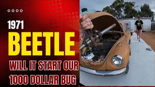 Will Our 1000 Dollar Bug Start After 30 years [upl. by Bovill]