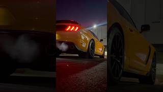 Gt350 cold start carlover cars [upl. by Ainessej]