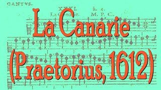 La Canarie M Praetorius 1612 [upl. by Rozanna]