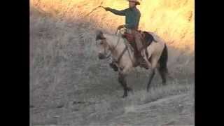 SOLD Bucks Smokin Style quotDenny quot 2004 AQHA Buckskin gelding for sale [upl. by Falito]