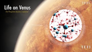 Life on Venus The Phosphine Mystery Explained [upl. by Leonardo]