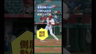 大谷翔平バッティングフォーム shorts 大谷翔平 バッティングフォーム バッティング バッティング理論 野球 [upl. by Ymmak]