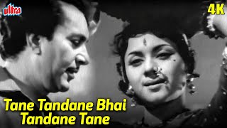 बलराज साहनी सुपरहिट हिंदी सॉन्ग ताने तन्दाने भाई तन्दाने ताने  Tane Tandane Bhai Tandane Hindi Song [upl. by Cence968]