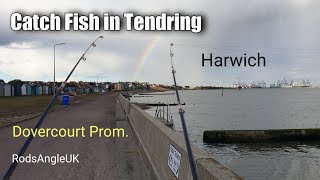 Catch Fish in Tendring HARWICH  DOVERCOURT PROMENADE [upl. by Ahon750]