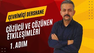 3 Adım Kimya AYT Çözümleri  Çözücü ve Çözünen Etkileşimleri 1 Adım [upl. by Elle422]