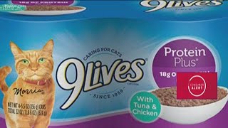 9Lives cat food recall [upl. by Sairu531]