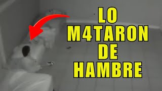 La VERDADERA HISTORIA de BENJAMIN CERVERA el PEQUEÑO que FALLECIÓ de HAMBRE [upl. by Akihc843]