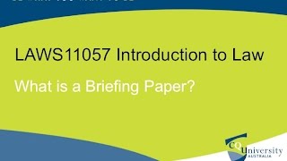 What is a briefing paper [upl. by Arracahs599]