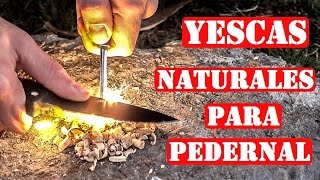 TOP 5 Yescas Naturales Para Hacer Fuego Con Pedernal O Ferocerio [upl. by Egief]