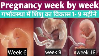 Pregnancy week by week in hindiबेबी के अंग कब बनते है  Drhome [upl. by Rednasxela61]