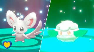 HOW TO GET Cottonee in Pokémon Sword and Shield [upl. by Ara]