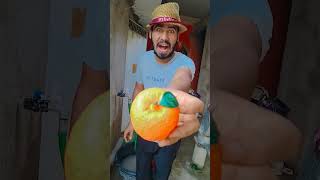 Ye khalo Anaya 🤣🤣 shorts funny trending comedy shortsfeed [upl. by Asiar]