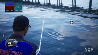 Bassmaster Fishing 2022 Gameplay 2 [upl. by Savart]