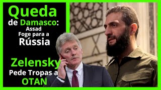 EUA Reagem à Queda de Assad  Zelensky pede Tropas à Otan [upl. by Hardan]