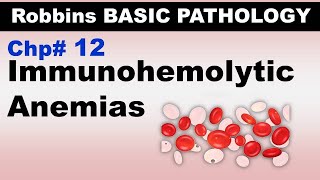 Ch12  Immunohemolytic Anemia  Coomb Test  Warm and Cold Antibodies Blood Pathology [upl. by Chak323]