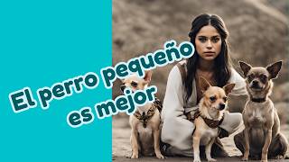 Por qué es mejor tener un perro de raza pequeña🐕 [upl. by Tyson]