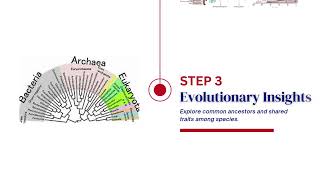 phylogenetic [upl. by Bethany13]