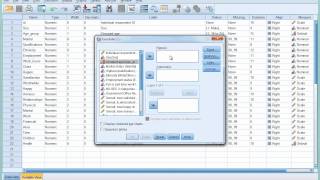 SPSS Tutorial 6  Introducing Crosstabulation [upl. by Katzir411]