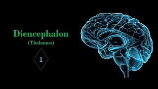 Introduction of diencephalon and thalamus Prof Ashfaqur Rahman [upl. by Yuma968]