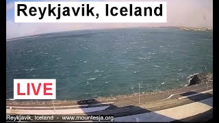 Reykjavik Iceland LIVE [upl. by Nit]