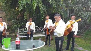 Mariachi Nuevo Continental El Cascabel cuautla morelos [upl. by Ahsatal]