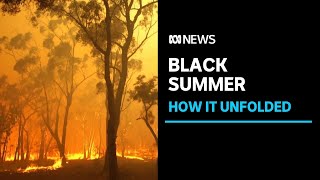 One year on ABC News looks back at how Australias Black Summer bushfire crisis unfolded  ABC News [upl. by Buzz265]