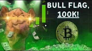 Bitcoin Bull flag amp 100k [upl. by Bocoj138]