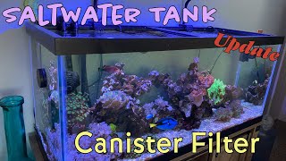 Saltwater Tank with canister filter update [upl. by Thoma]