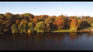 Roundhay Park Lake Leeds with autumn colours [upl. by Keefer]