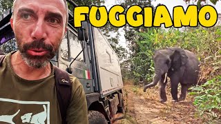 Inseguiti da un ELEFANTE in Guinea 😵 Giro del MONDO in CAMPER 4x4 [upl. by Greenland]