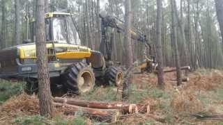 Abatteuse ébrancheuse en forêt de Moulière [upl. by Eitnom]