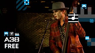 The Tiger Lillies  Bully Boys  Live 2019  A38 Free [upl. by Tingey36]