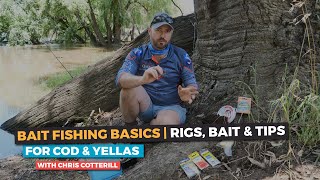 Murray Cod  Bait Fishing Basics  Rigs Bait amp Tips [upl. by Llywellyn]