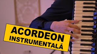 🍷🎹🎹🎹 ACORDEON MUZICA INSTRUMENTALA acordeon instrumentala lautareasca [upl. by Analak872]