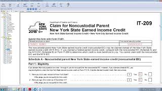 Noncustodial Parent New York State Earned Income Credit [upl. by Etnom]