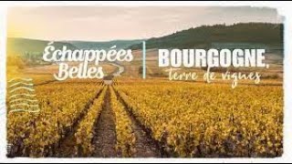 La Bourgogne terre de vignes  Échappées belles [upl. by Nordek179]