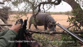 Razor Dobbs HIPPO 10mm auto close encounter standoff Handgun Hunting [upl. by Rolan]